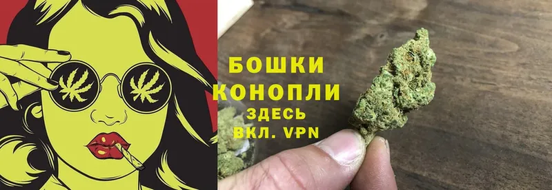 Марихуана OG Kush  Зеленогорск 